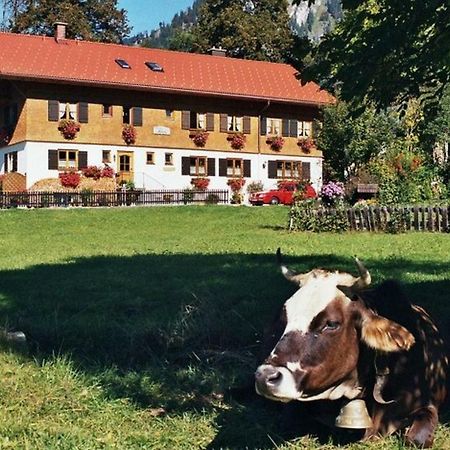 Gaestehaus Hedwig Bad Hindelang Bagian luar foto