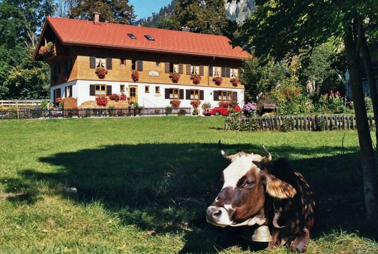 Gaestehaus Hedwig Bad Hindelang Bagian luar foto